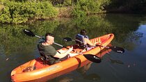 Tamarindo river guided kayak mangrove & environment watching tour in Guanacaste