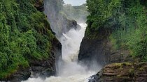 3-Day Private Tour and Safari Murchison Falls National Park