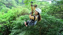 One day combo tour zipline, horseback riding, host springs family packages