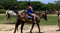 Horseback Ride, Zipline and ATV Adventure from Montego Bay