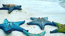Starfish Adventure; Blue Lagoon; The Rock; Kuza Cave, Salaam Cave