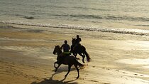 Horse Ride in Taghazout or Agadir