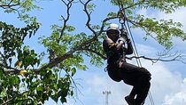 Zipline, Horseback Ride, ATV and Catamaran from Montego Bay