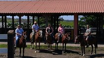 Full day with canopy horse back riding and cultural Arenal visit from San Jose