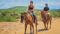 Los Cabos Horseback Riding