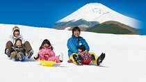 Snow Experience at Mt.Fuji, Hakone Pirate Ship & Gotemba Premium Outlet