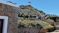 Full Day Cape Peninsula, Cape Point Tour