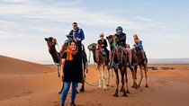 Sahara Désert 3 Days 2 Nights include transport tent lunch and B&B camel Ride