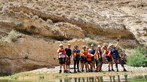 Full-Day Guided Canyoning Adventure in Wadi Salaita