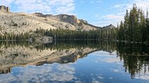 Yosemite and Kings Canyon National Park 2 Day Tour from LA