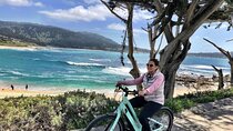 17-Mile Drive Electric Bike Guided Tour