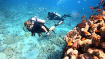 2-Hour Private Scuba Experience in Aqaba