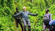 11-Day African Big 5 with Gorilla Trekking Safari in Uganda.