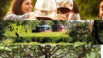 Wine Sippin'-Tea Drinkin'-Tree Huggin' Lowcountry Sightseeing