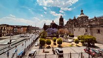 Mexico City Center Private Walking Tour