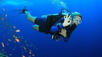 Hurghada: Full-Day Diving Tour with Lunch & Two Dive Sites