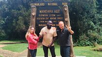 Mountain Kilimanjaro Day Hike