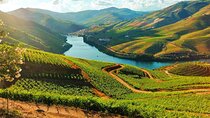 Douro Valley Tour – Relaxed Departure from Porto
