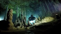 Private Full-Day Cenote Diving Experience 2 Dives with Lunch