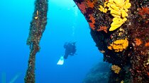 Discover Scuba Diving in the Caldera of the Volcano in Santorini