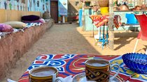 Private Trip to Nubian Village by Motorboat From Aswan