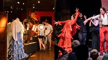 Combined ticket: Puro Flamenco Show + Flamenco Museum visit