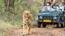 4 Days: Ranthambore, Jodhpur, Udaipur Tour From Jaipur With Hotel