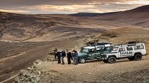 Immersive 4x4 Patagonia Safari: Dicover Flora Heritage & Wildlife
