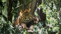Private 02 Day Leopard Safari in Yala from Bentota
