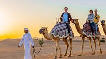 Evening Desert Safari Dubai with Camel Riding & BBQ Buffet Dinner