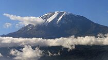7-Day Mount Kilimanjaro Trekking