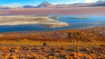 Uyuni Salt Flats _ 3 Days/2Nights _ Shared Tour_English Speaking Guide