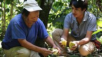 Authentic 2-Day Cacao Tour in Cusco Jungle with Local Homestay