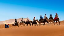 3 Days Tours From Fez To Marrakech 
