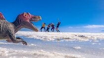 Uyuni Salt Flats _ Full Day _ English Speaking Guide