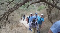 Private Guided Hiking Ethiopia with Lunch
