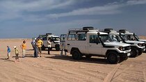 Budget Luxor Bedouin Desert Safari Tours By Jeep 4X4