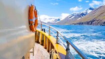 Boat Tours from Siglufjörður