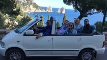 Full-Day Private Capri, Anacapri and Blue Grotto Tour from Naples