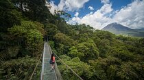 Arenal Hanging Bridges From Arenal