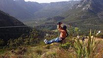 Cape Town Ziplining Wine Tasting and Table Mountain Private Tour