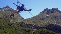 Cape Town Zipline, Penguins and Cape of Good Hope Private Tour