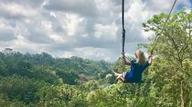 Bali Private Tour : Best Of Ubud & Volcano View With Jungle Swing