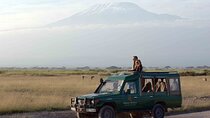 3 Days Tsavo West-Amboseli SGR Train Serena Safari Experience (minimum 2 Pax)