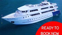 PHUKET: Phi Phi Island by Luxury Cruise"Exc. Gold Class VIP"Lunch
