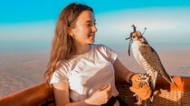 Hot Air Balloon Ride & In-flight Falcon Show including Transfers