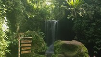 amazing waterfall tour with half day