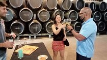 Wine tourism, visit to a traditional winery and wine tasting