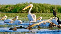 2 Days Private Tour from Bucharest to Black See and Danube Delta