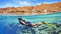  Canyon and Blue Hole Snorkeling Trip with Lunch from Sharm el Sheikh
